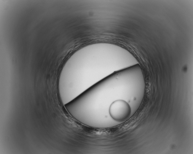 X0000100360466200806060827