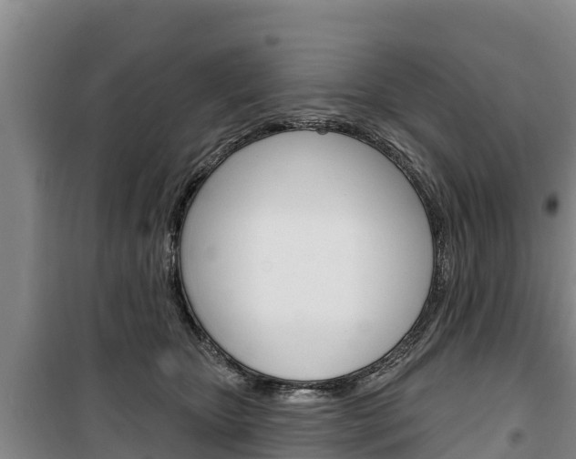 X0000100360467200806060827