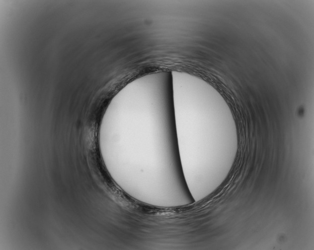 X0000100360468200806060827
