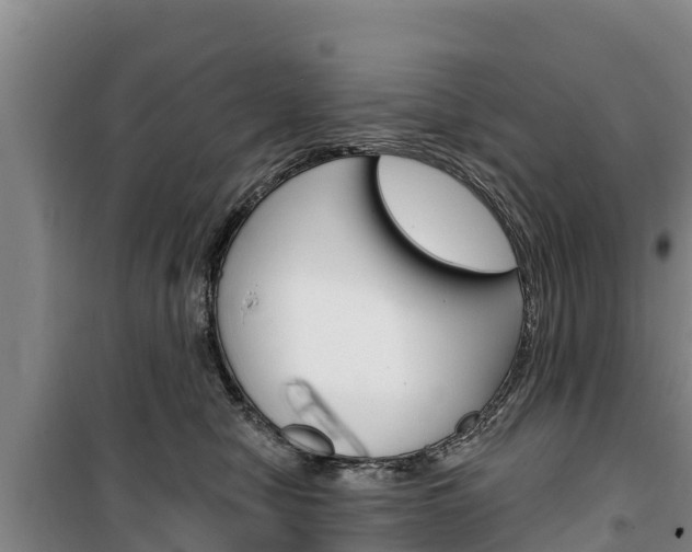 X0000100360470200806060827