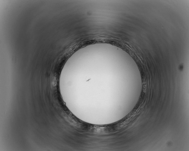 X0000100360472200806060827