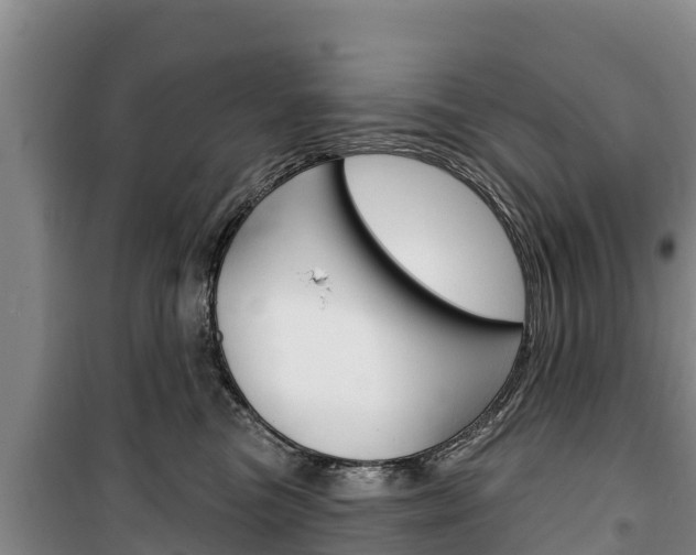 X0000100360473200806060827