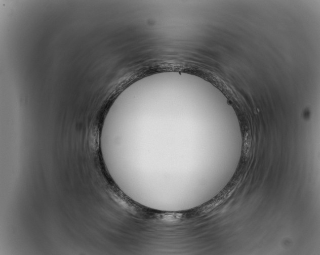 X0000100360474200806060827