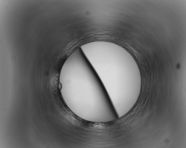 X0000100360475200806060827