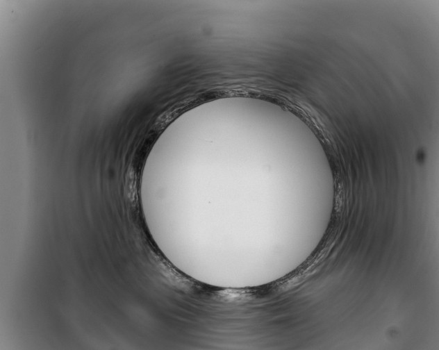 X0000100360477200806060827