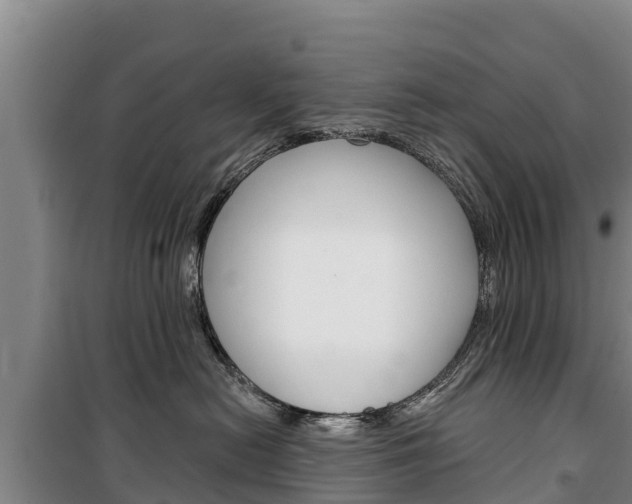 X0000100360478200806060827