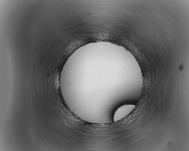 X0000100360479200806060827