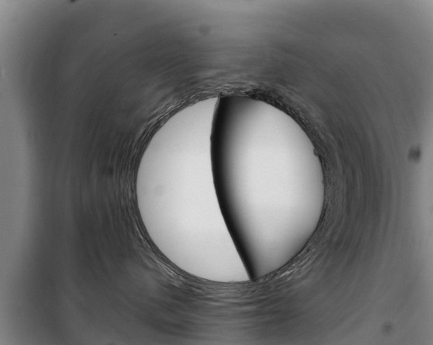 X0000100360480200806060827