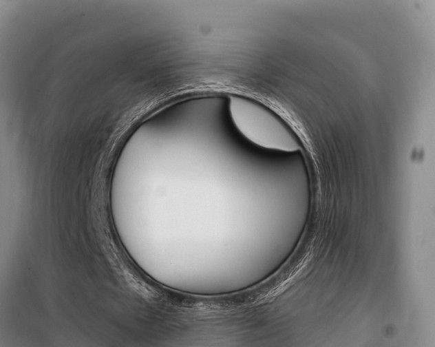 X0000100360481200806060826