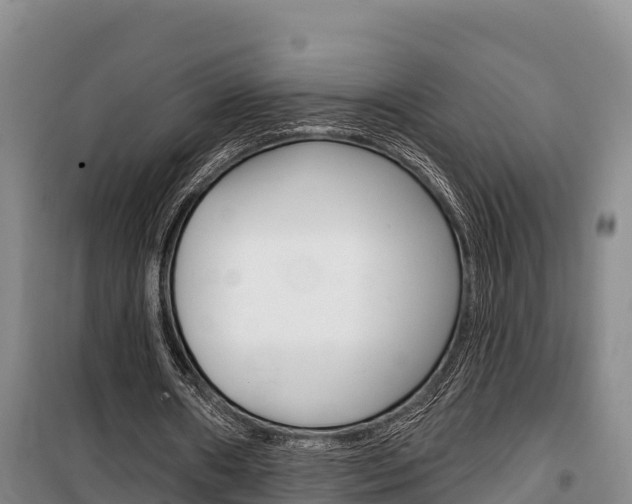X0000100360482200806060826