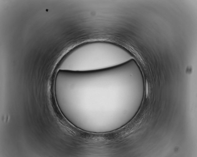 X0000100360483200806060826