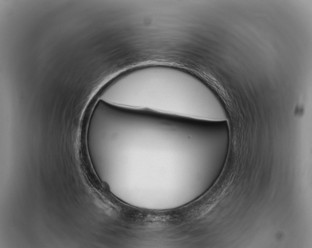 X0000100360484200806060826