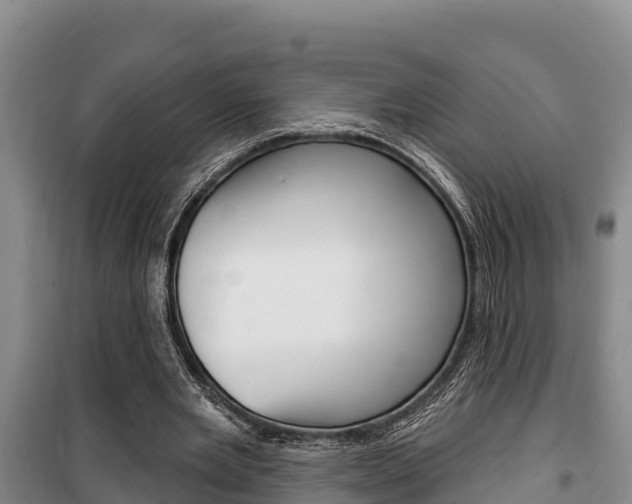 X0000100360485200806060826