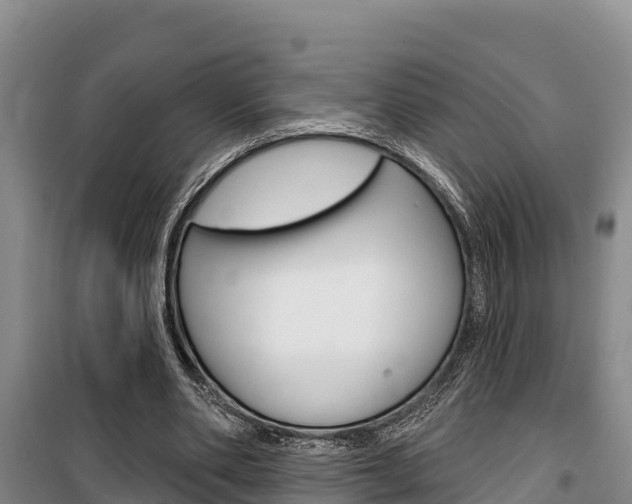 X0000100360486200806060826