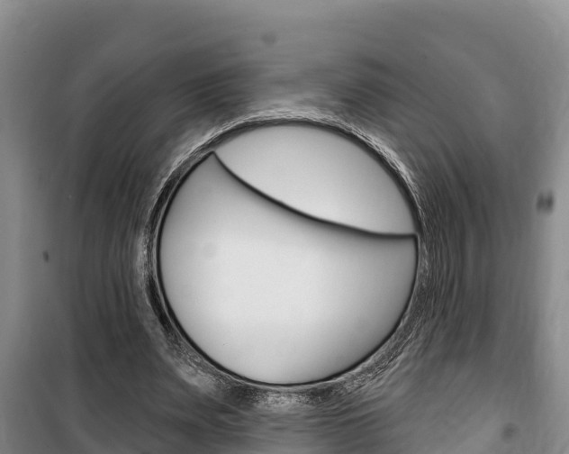 X0000100360487200806060826