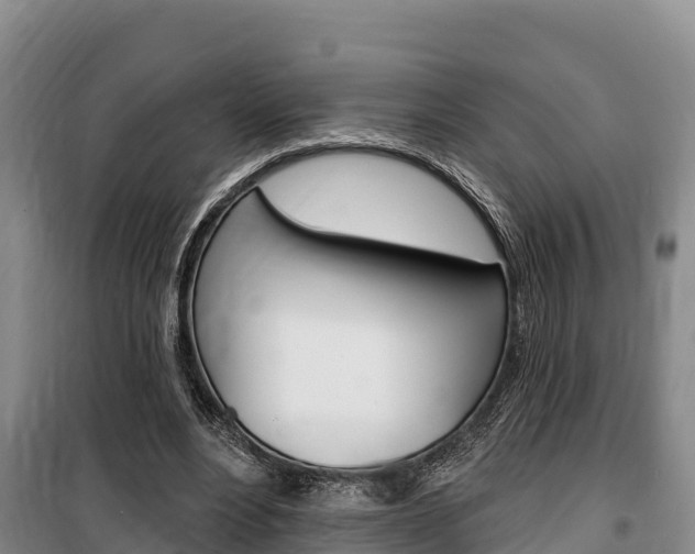 X0000100360488200806060826