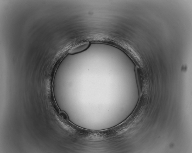 X0000100360489200806060826