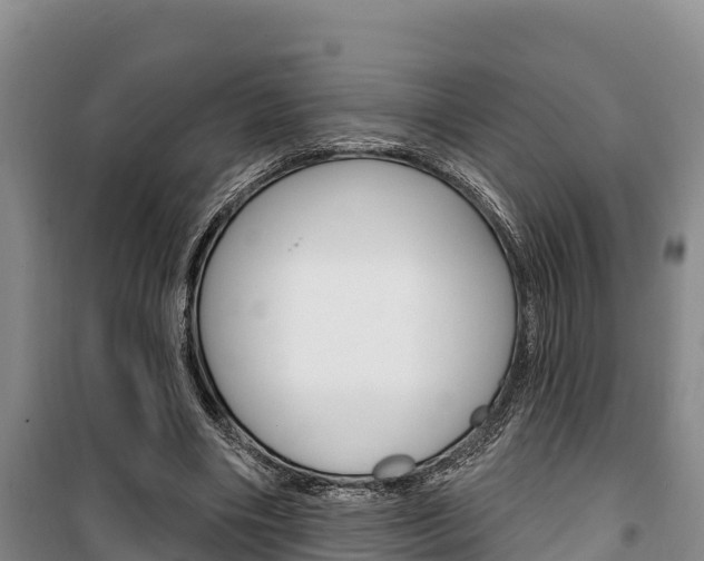 X0000100360490200806060826