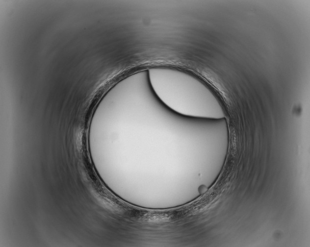 X0000100360491200806060826