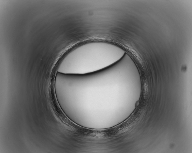 X0000100360492200806060826