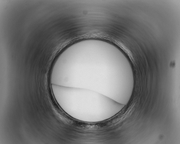 X0000100360493200806060826