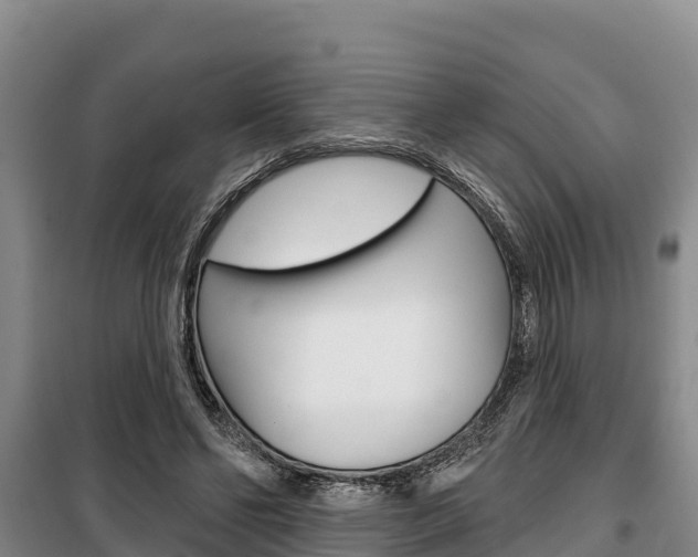 X0000100360494200806060826