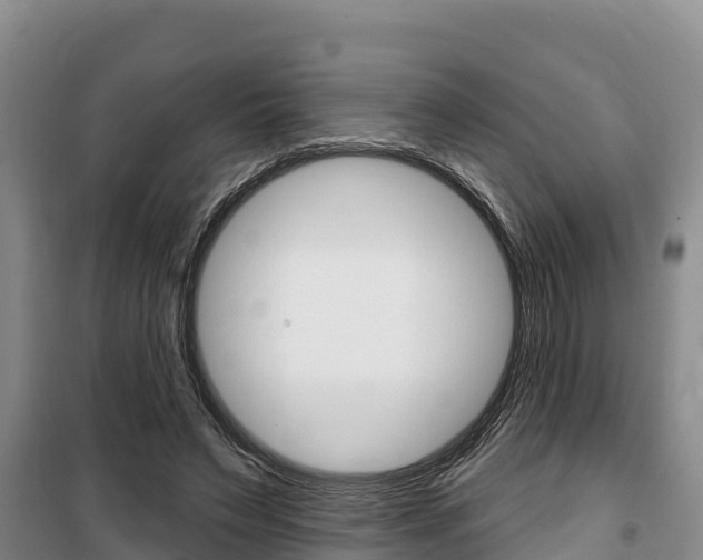 X0000100360495200806060826