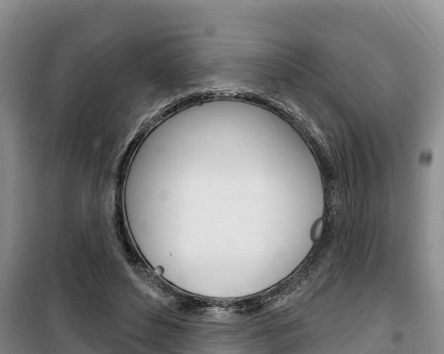 X0000100360496200806060826