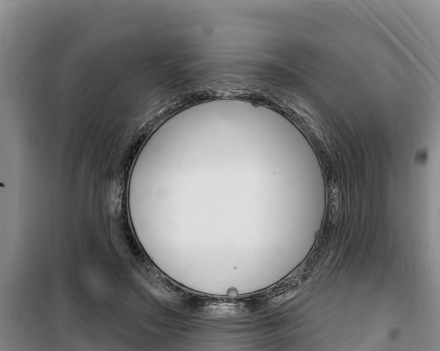 X0000100360499200806060826