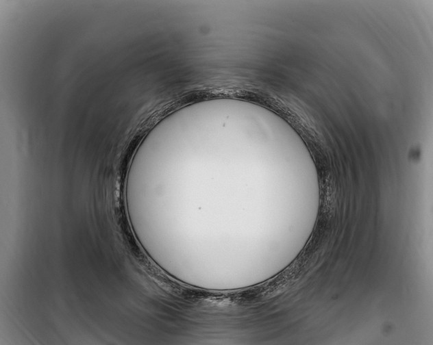 X0000100360502200806060826