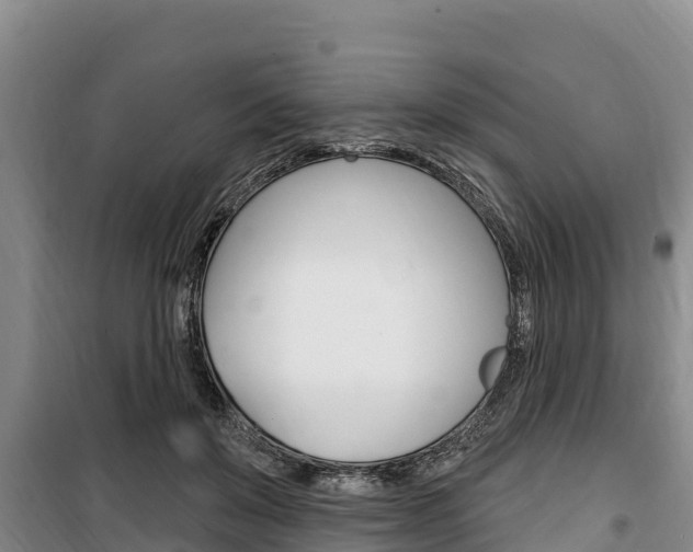 X0000100360503200806060826