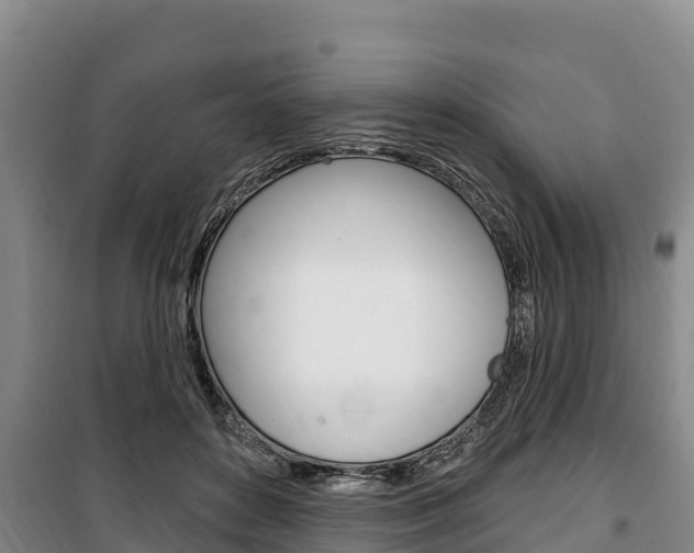 X0000100360504200806060826