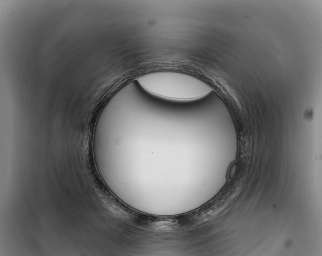X0000100360505200806060826