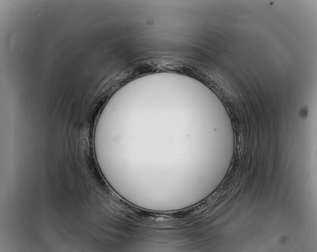 X0000100360506200806060826