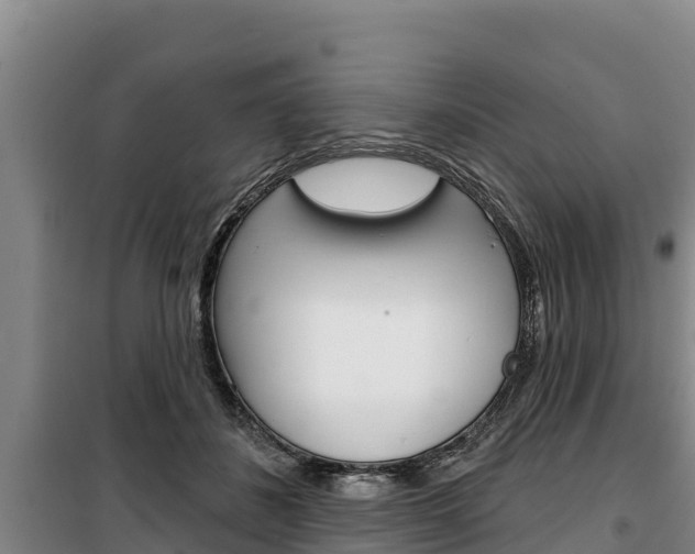 X0000100360508200806060826