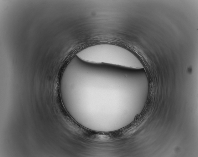 X0000100360509200806060826