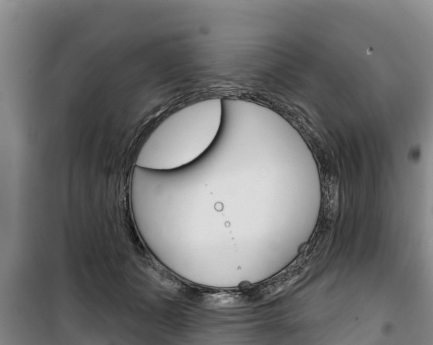 X0000100360511200806060826