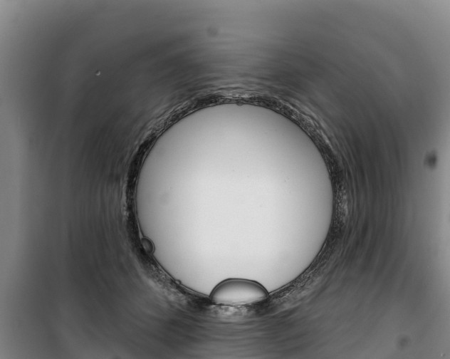 X0000100360512200806060826