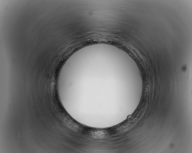 X0000100360513200806060826
