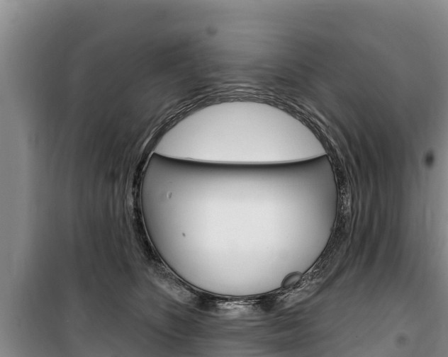X0000100360516200806060826