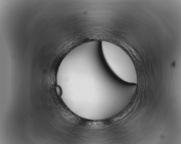 X0000100360517200806060826
