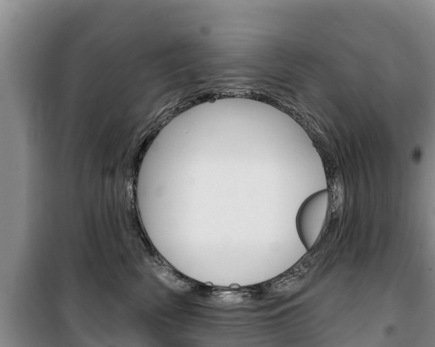 X0000100360522200806060826