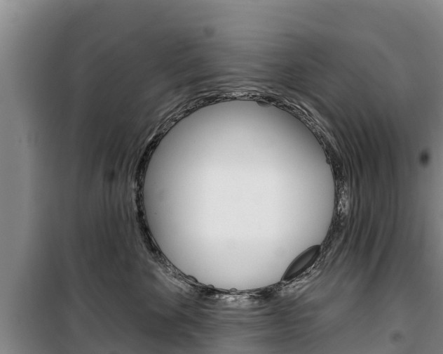 X0000100360524200806060826