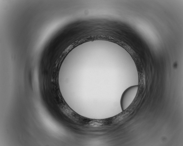 X0000100360526200806060826