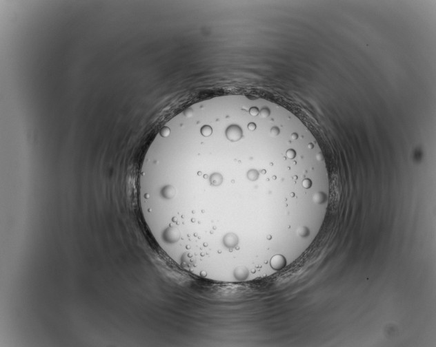X0000100360527200806060826