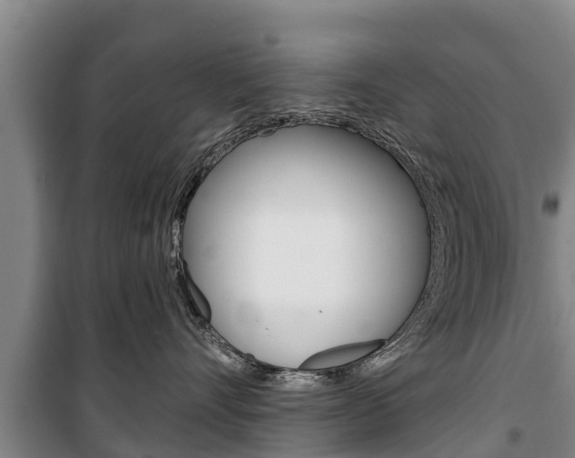 X0000100360528200806060826