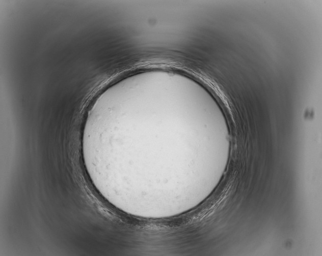 X0000100360529200806060825