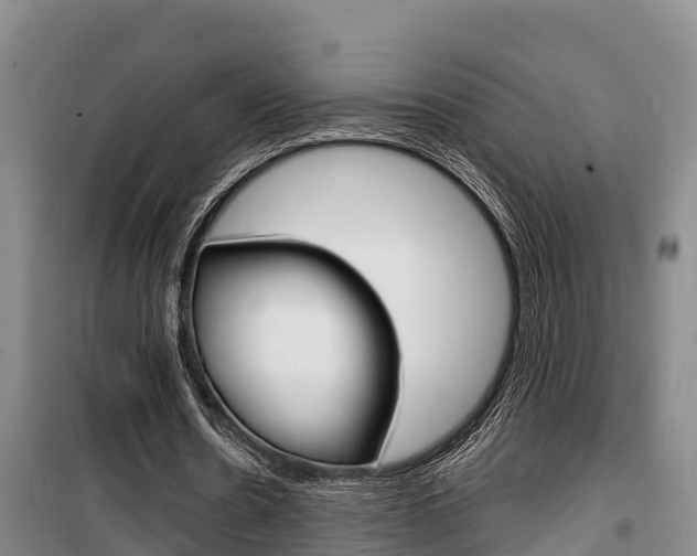 X0000100360530200806060825