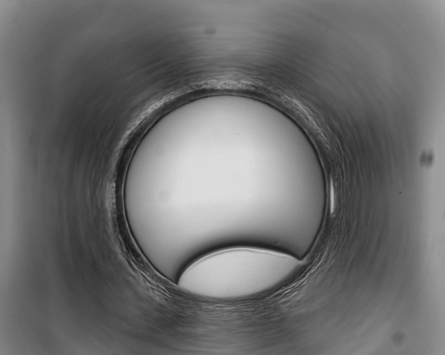 X0000100360531200806060825