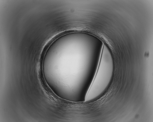 X0000100360532200806060825